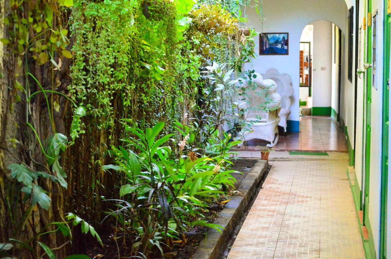 Hostal El Rio León Extérieur photo