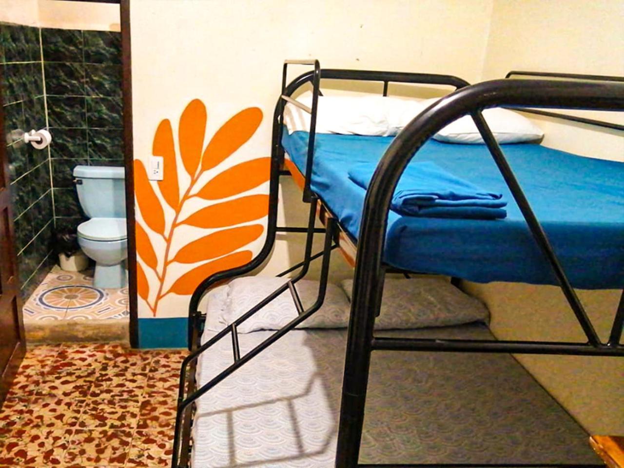 Hostal El Rio León Extérieur photo