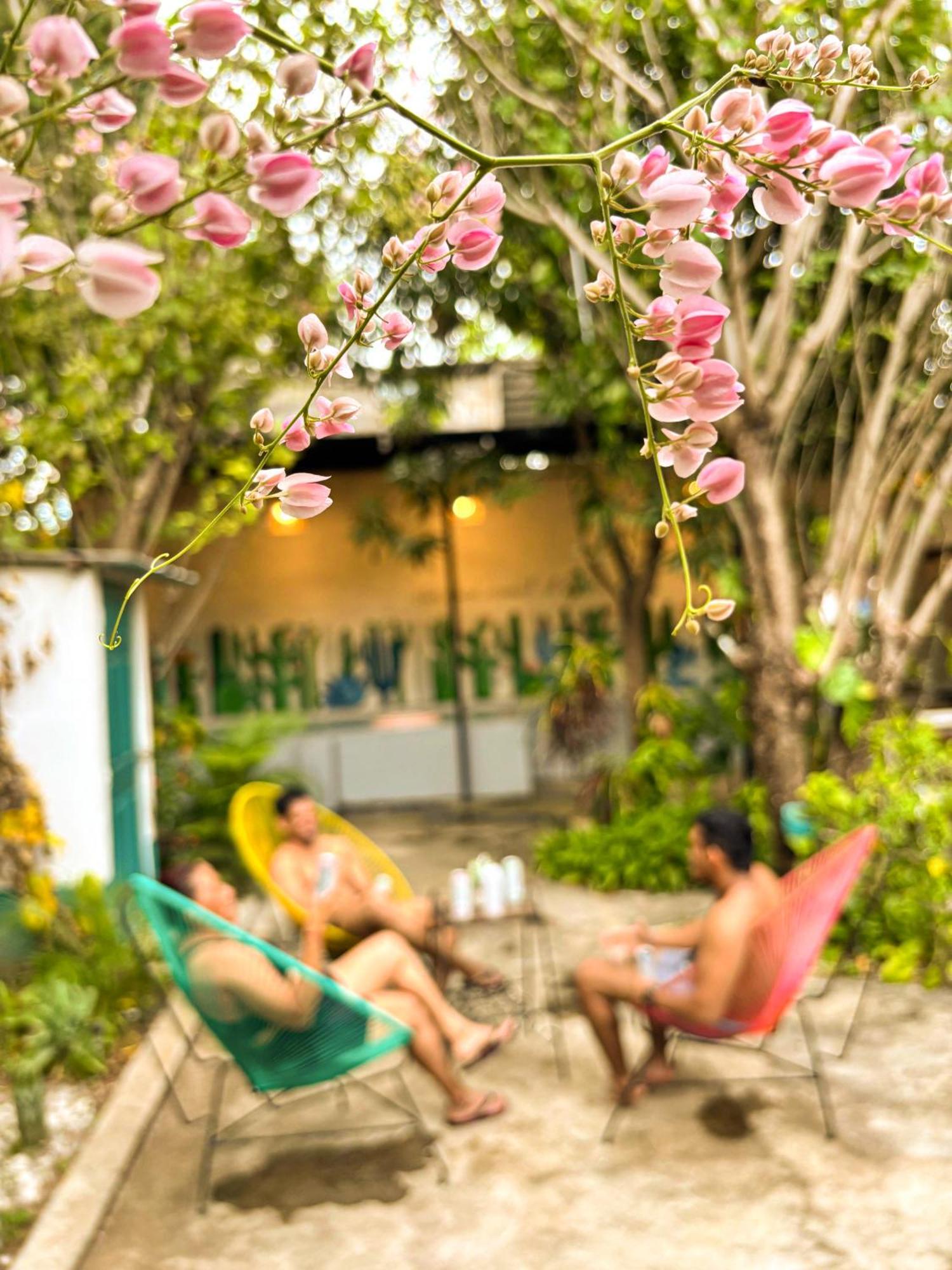 Hostal El Rio León Extérieur photo
